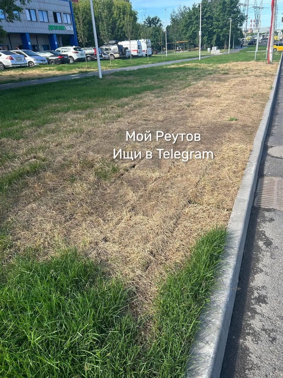 ‼️ Благоустройство по-реутовски... за 125 млн рублей