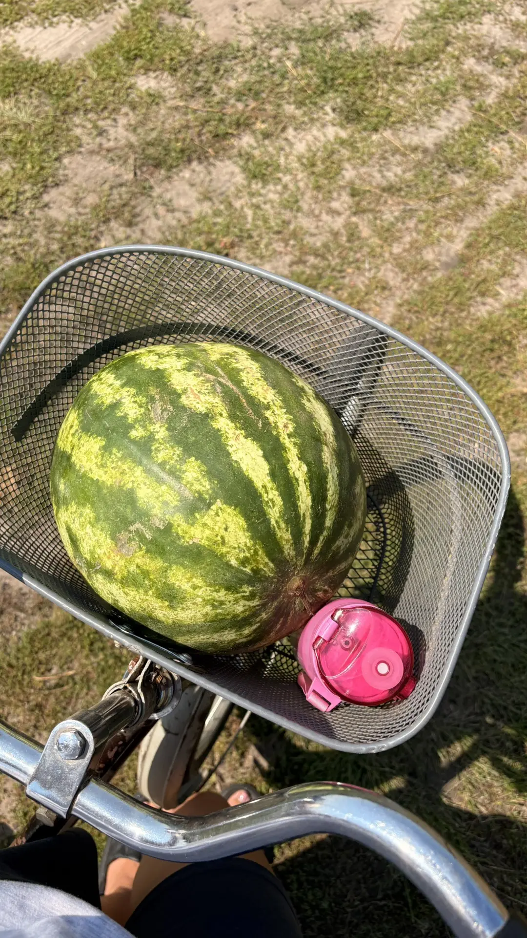 Летней еды купила😄
+35🤪
