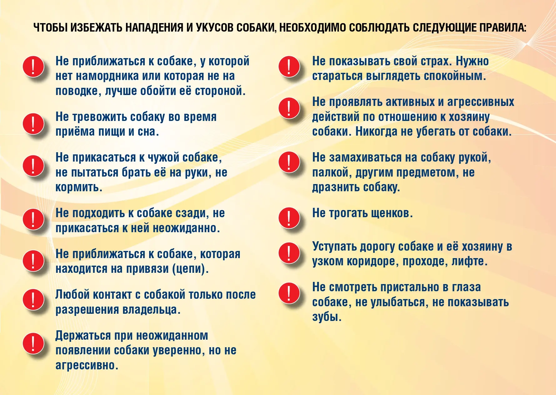 🐶 Не просто игрушка, а жизнь, за которую ты в ответе! 🐱  На этой неделе мы говорили о важном: о наши