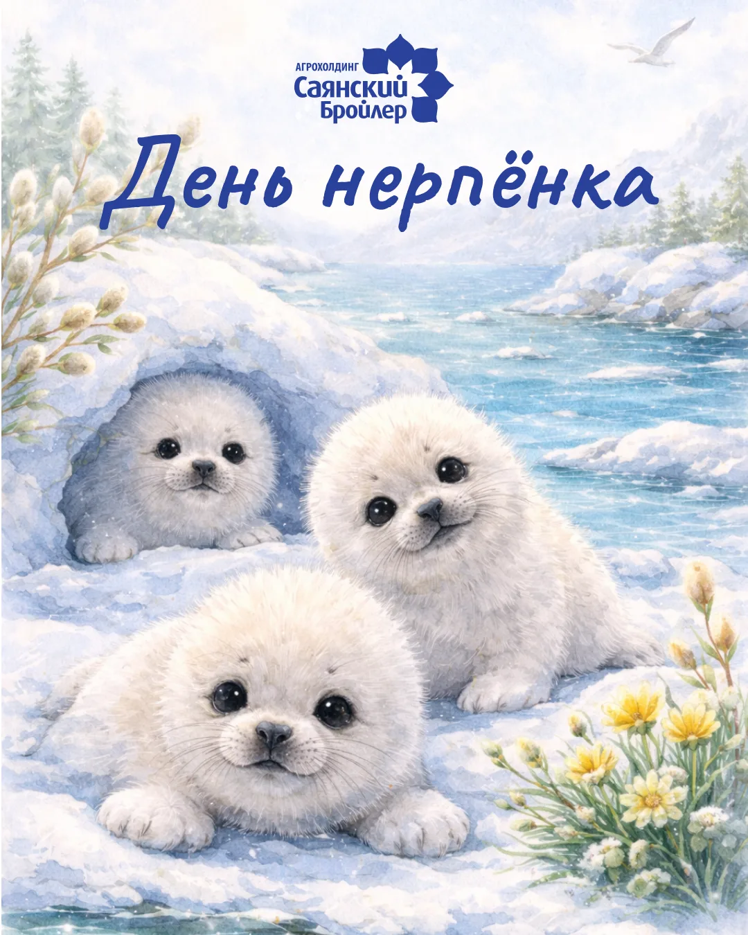 25 мая — День нерпёнка