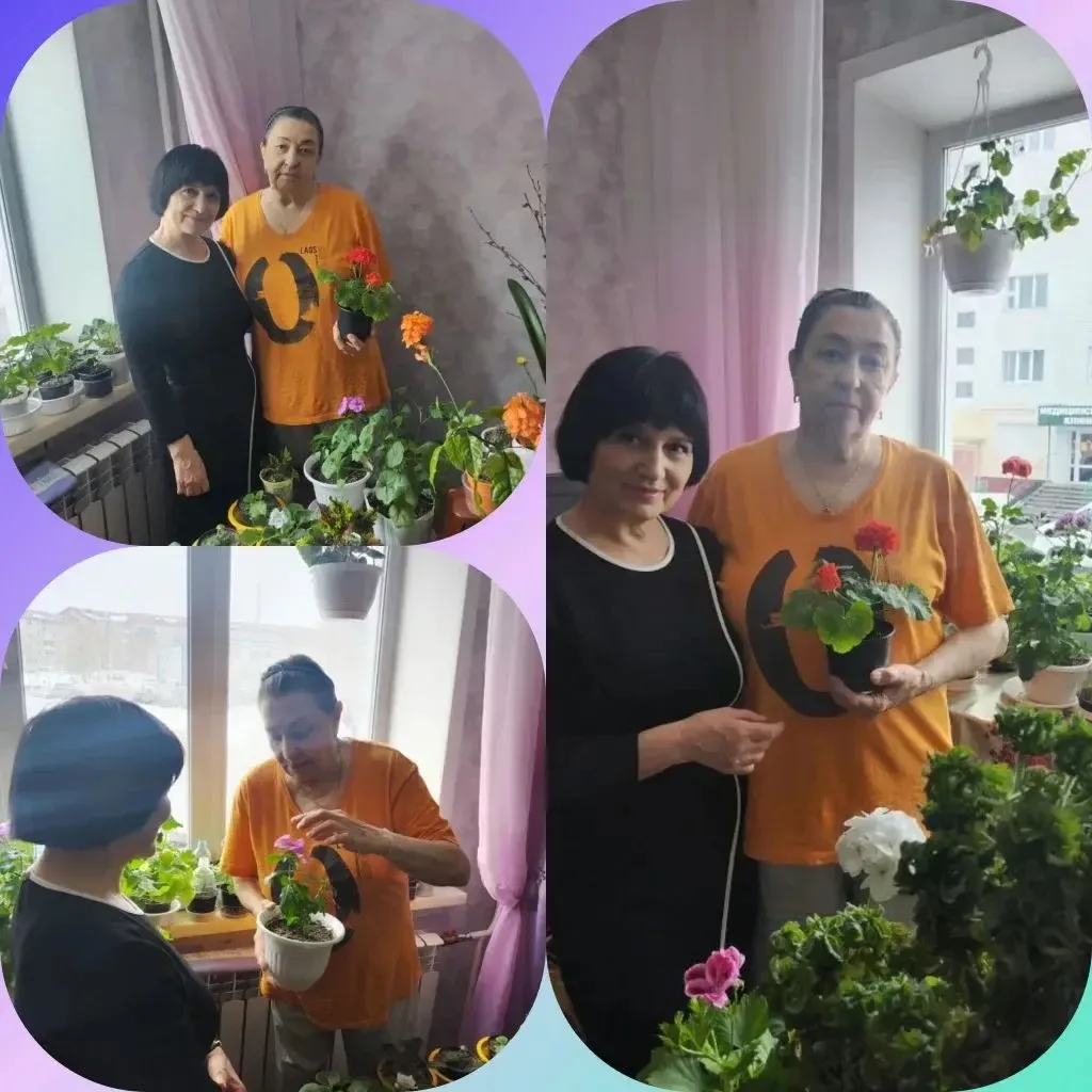 🪴Собираем урожай с подоконника: итоги проекта «Во саду ли, в огороде» в августе 🍅🥒