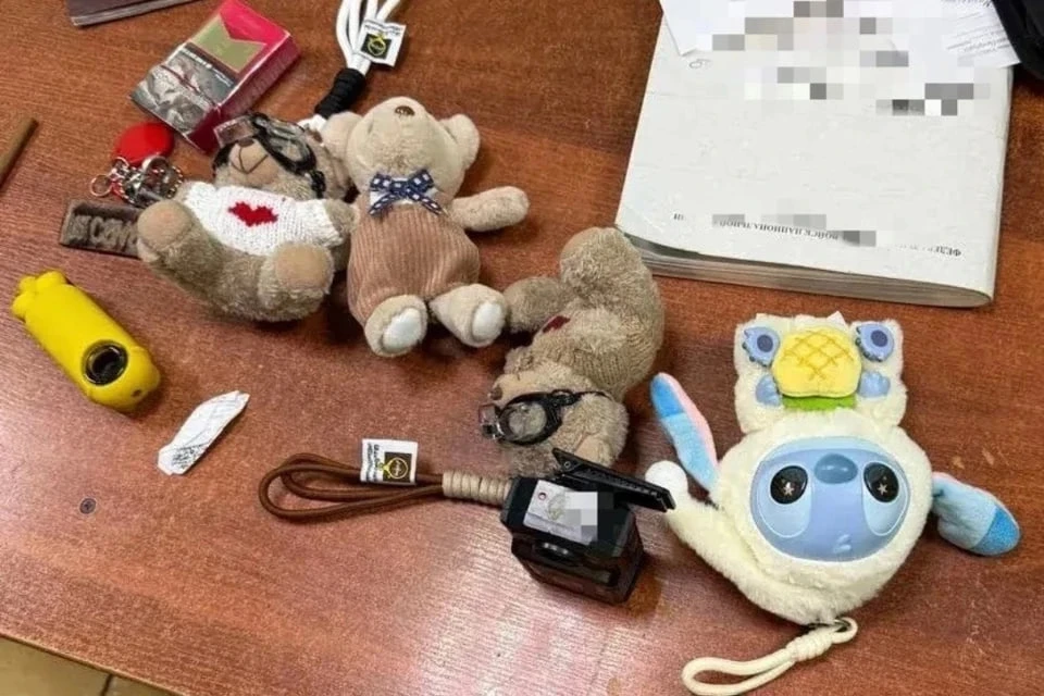 👮‍♂️ Плюшевый провал: пьяные петербуржцы вскрыли автомат с игрушками на Думской