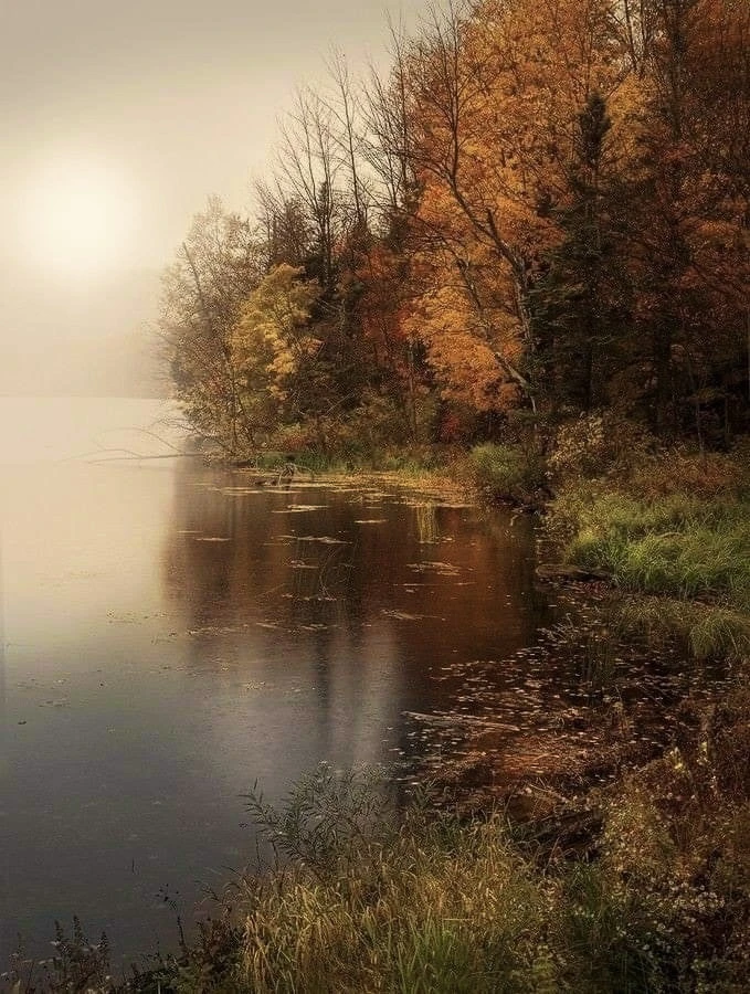 Написано в 16 лет…🍂🍁🍂