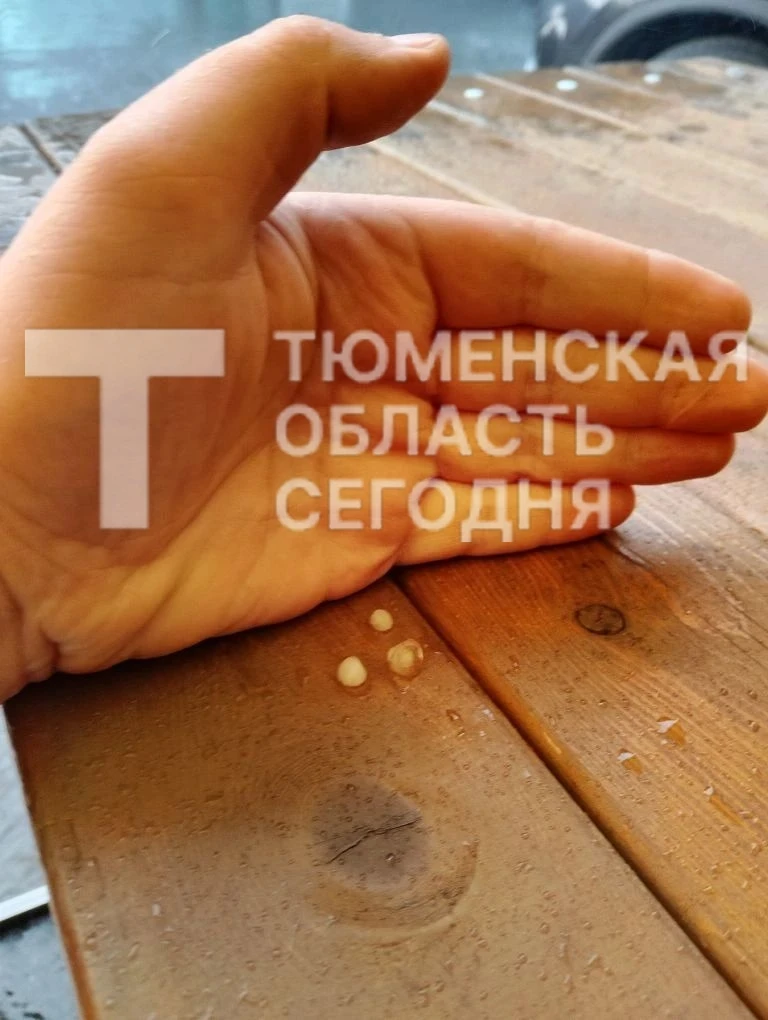 В Тюмени дождливо ☔️