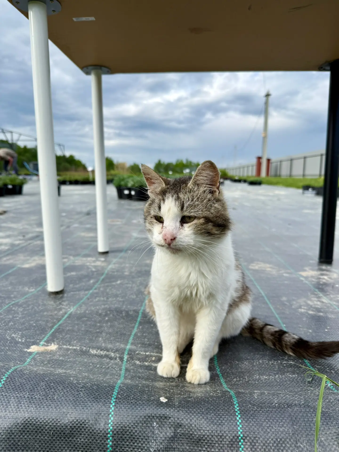 Это крайний посетитель сегодня. Благодарю за ваши визиты!🙏🏻🩷💚🩵