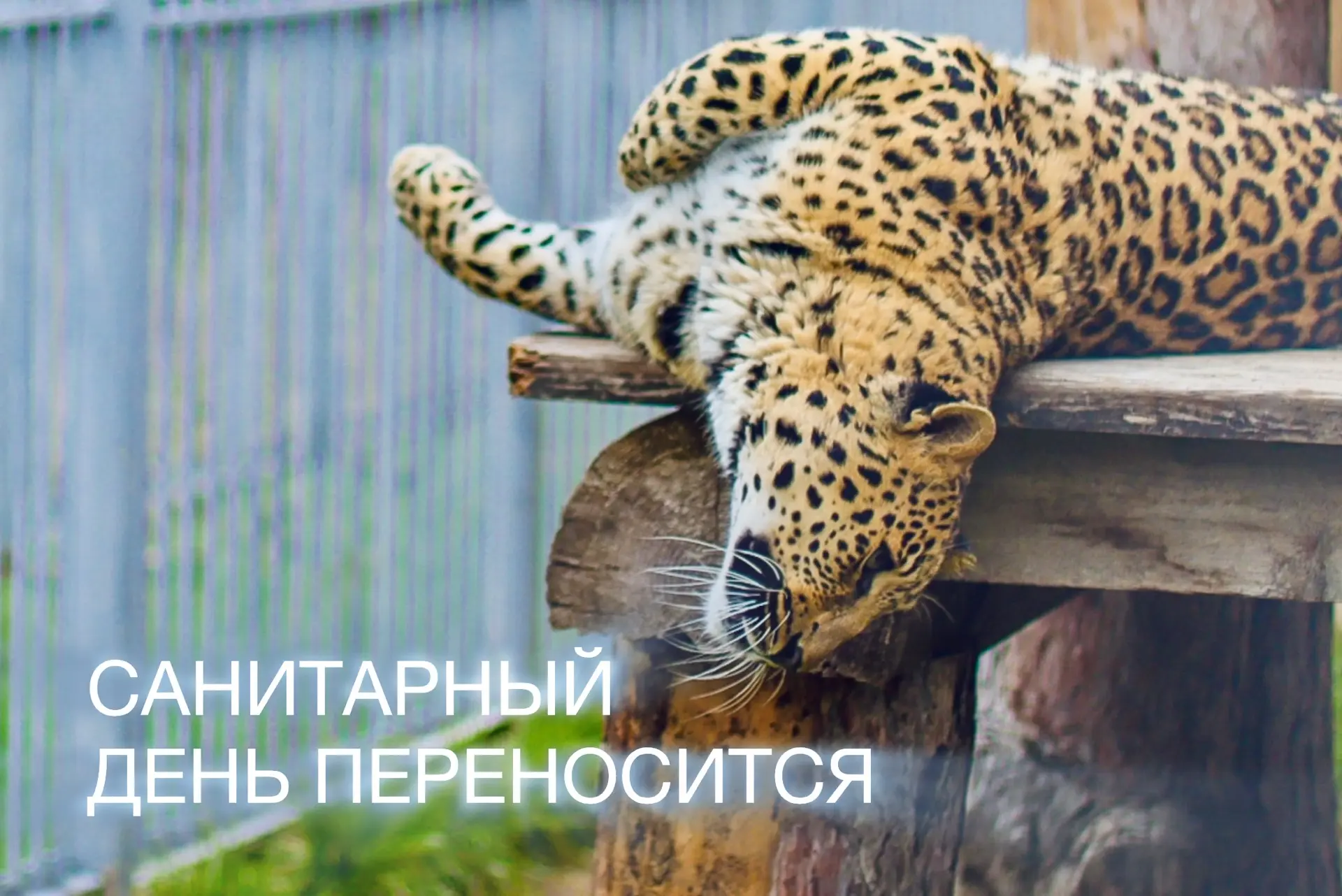 ❗️ ВНИМАНИЕ! САНИТАРНЫЙ ДЕНЬ ПЕРЕНОСИТСЯ!