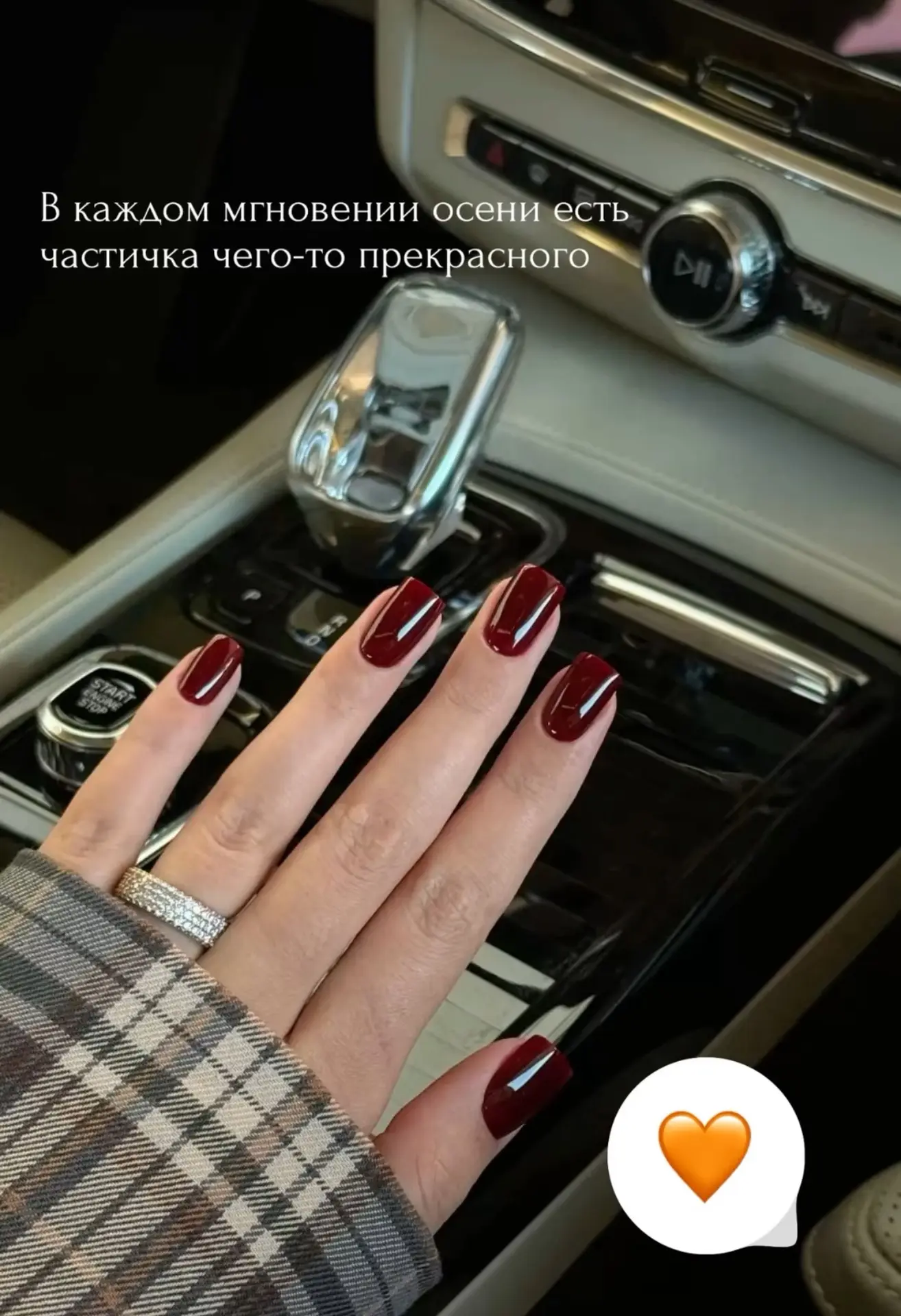 Признавайтесь , ждали осеннюю эстетику ?🤎🍂