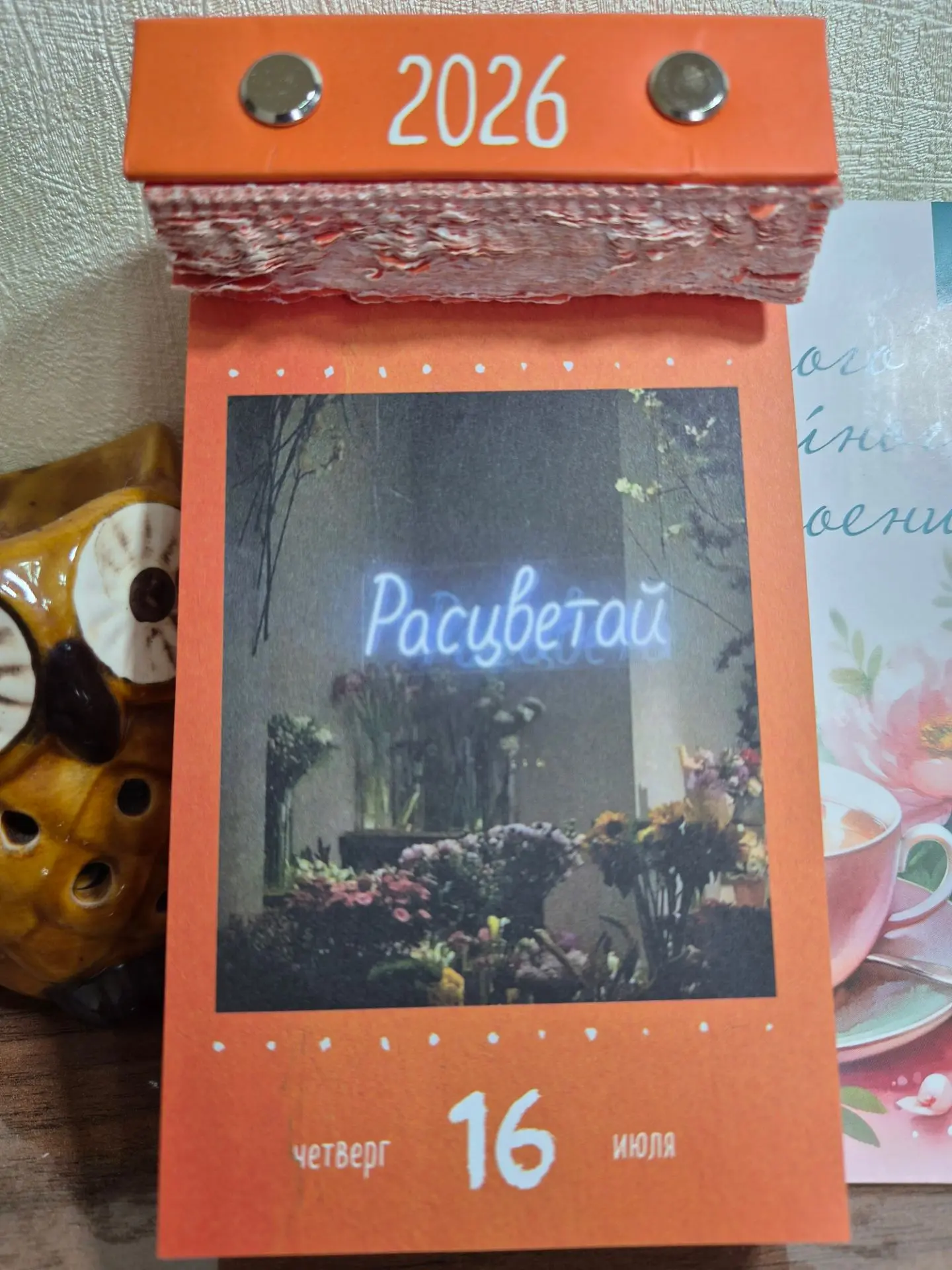 #знакиВселенной
