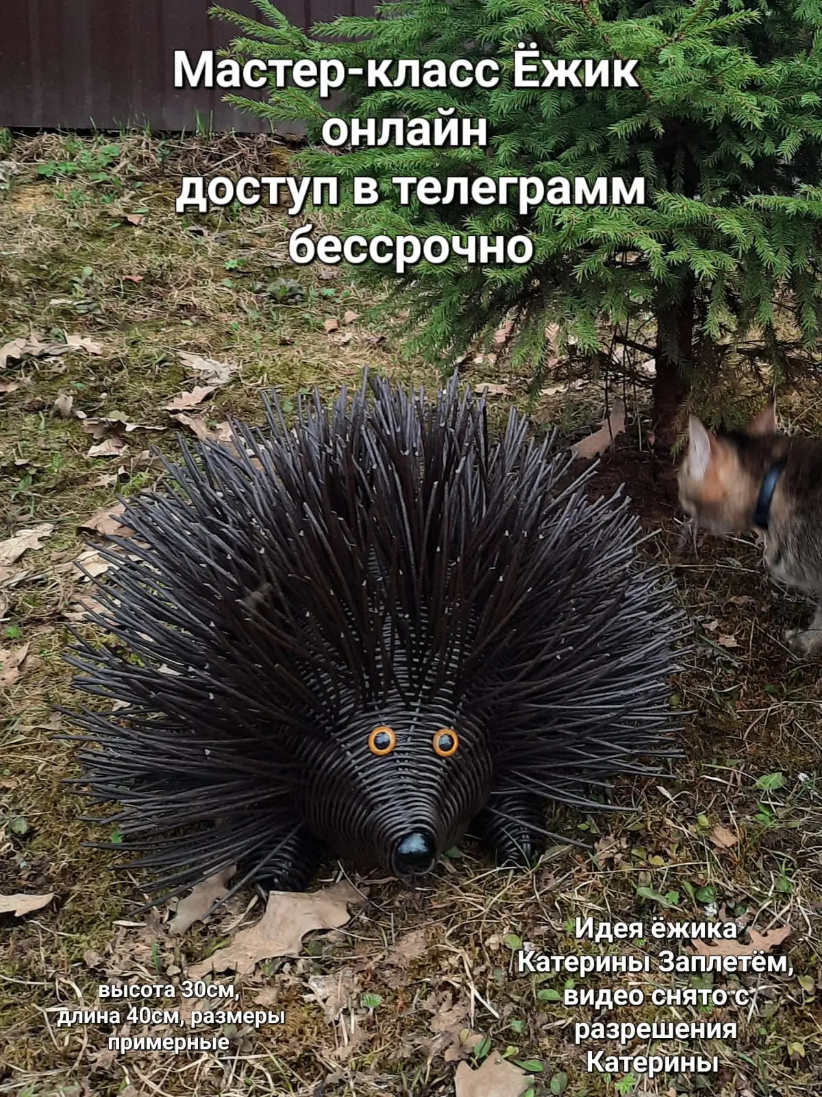 В продаже есть видеоуроки