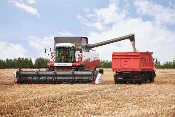 🚜 По состоянию на 4 сентября сельхозтоваропроизводителями Озинского района убрано зерн...