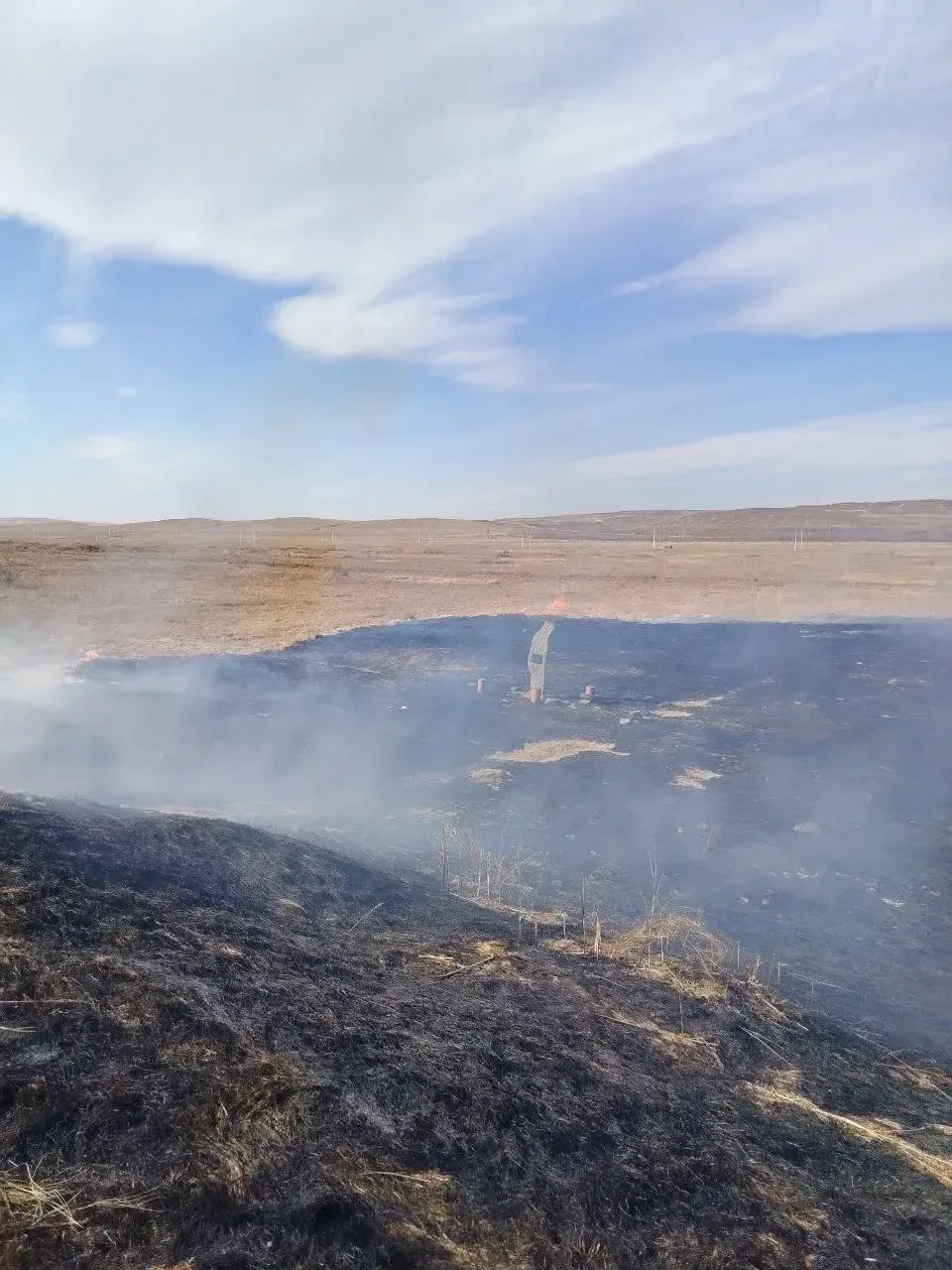 От подписчика👀: Снова начались весенние пожары. Горела дамба в районе Кедровника. Огонь подступал к 