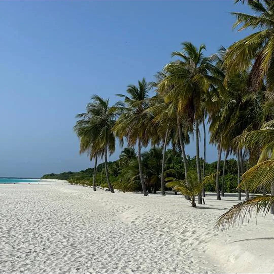 До -40% в Hotels & Resorts на Мальдивах
 
→ Hondaafushi Island Resort 4*
 
Период проживания: 
до 30