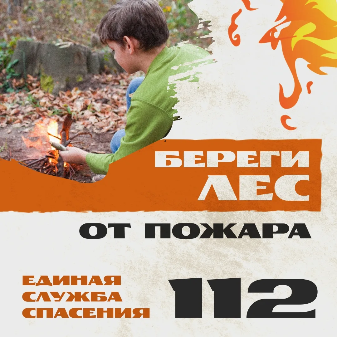 Отправляясь в лес, помни, что большинство лесных пожаров возникает по вине человека

Чтобы избежать 