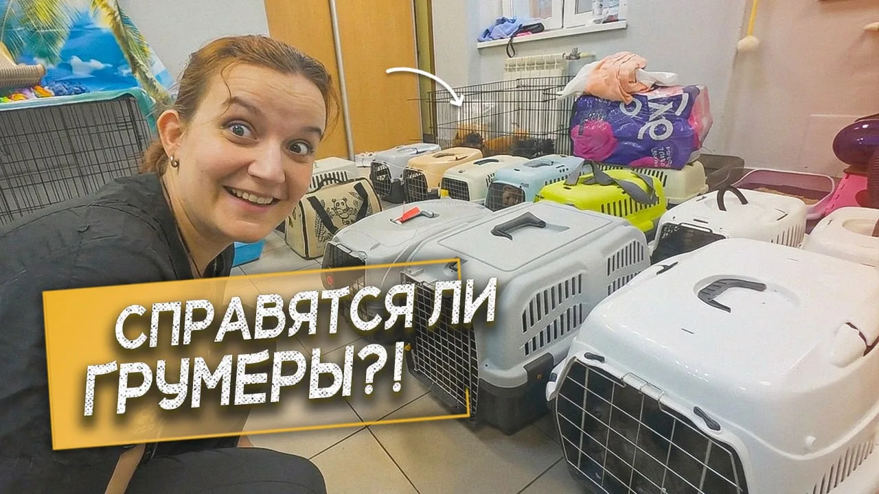 Алло-алло, пушистые фанаты!
🐾 У нас тут видео-новость, как горячий носик:
🎥 VK подогрел для вас вч