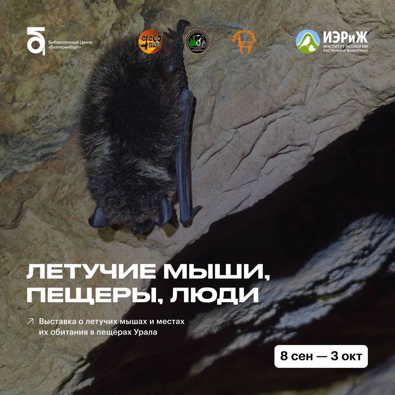 🦇 Летучие мыши, пещеры и Урал: в Екатеринбурге откроется необычная выставка