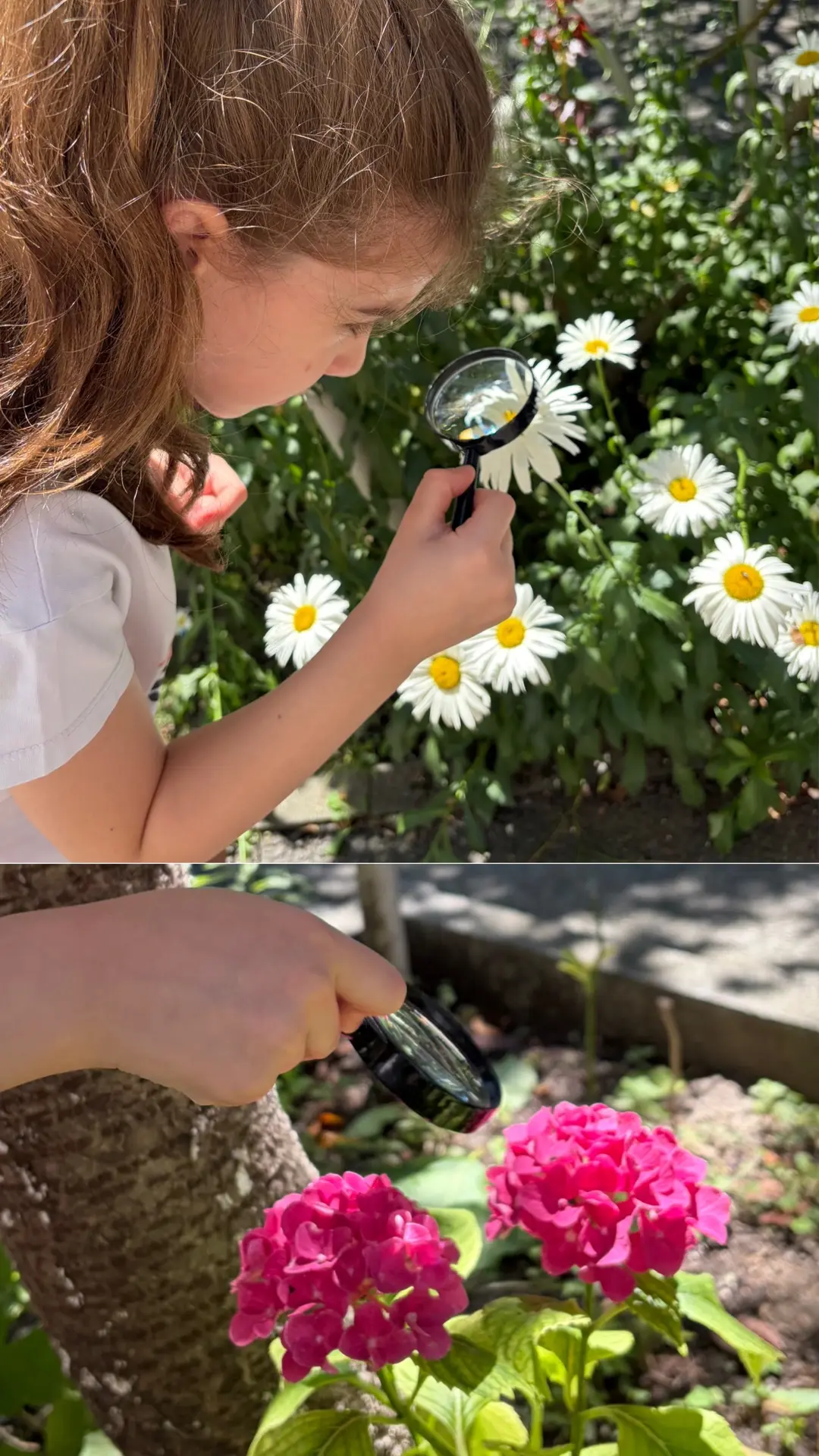 А мы продолжаем  учиться замечать красоту в мелочах….🌻