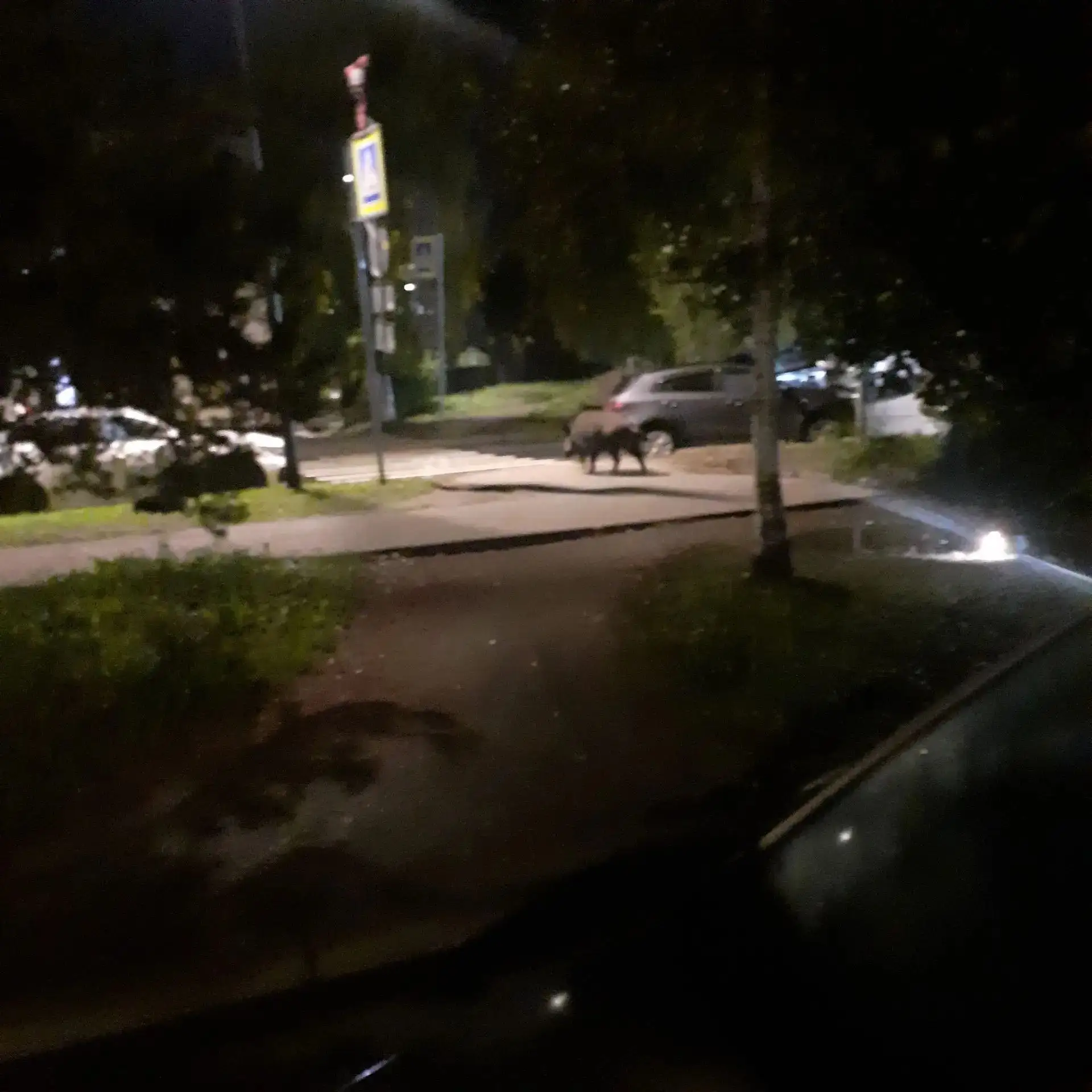 От подписчика .