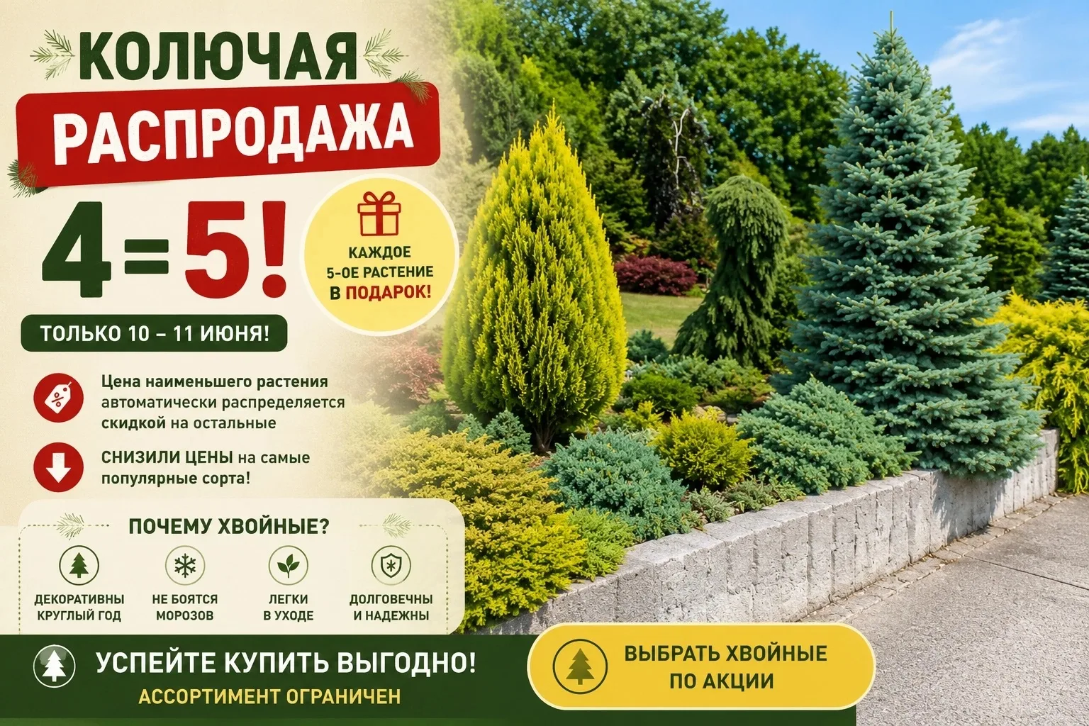 🌲 Колючая распродажа 4=5! Снизили цены и дарим каждое 5-е растение

Хотите добавить в сад хвойные р