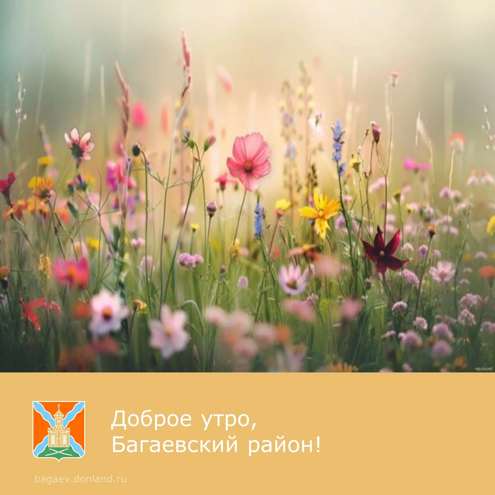 ☀️ Доброе утро, уважаемые жители Багаевского района!  ✅ Продуктивной рабочей недели.  #доброеутро #Б