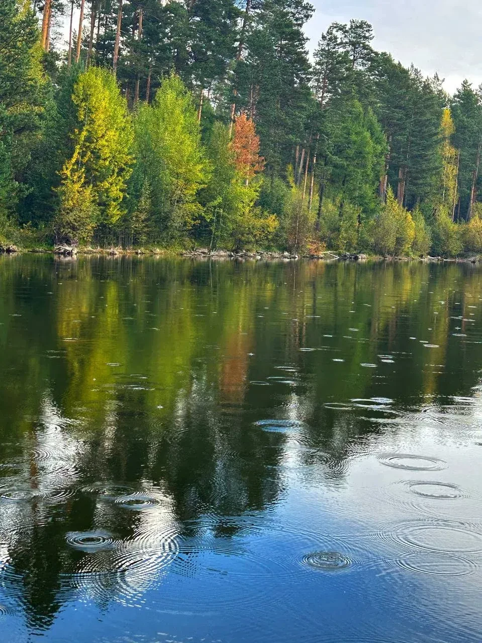 🍁 Номинация: «Краса Осени»