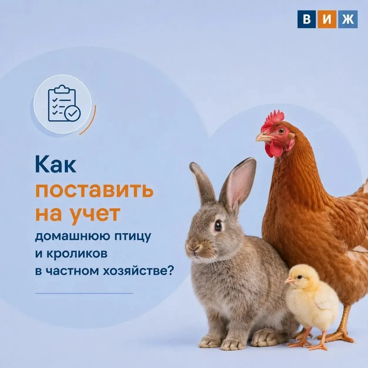 🗓1 сентября подошел срок обязательного учета домашней птицы и кроликов в личных подсоб...