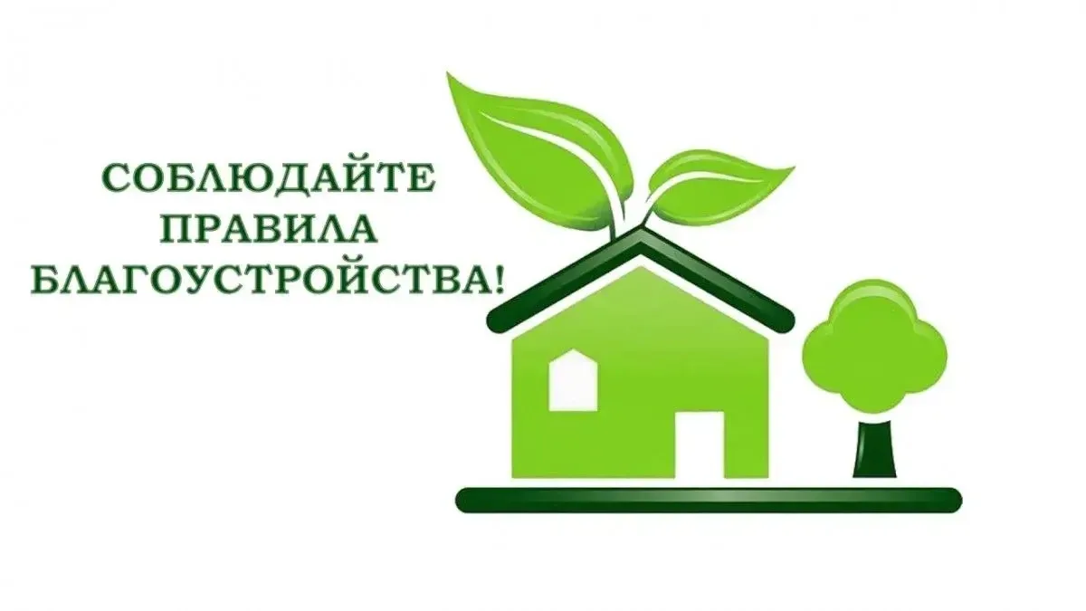 Муниципальный контроль: соблюдаем правила благоустройства!
