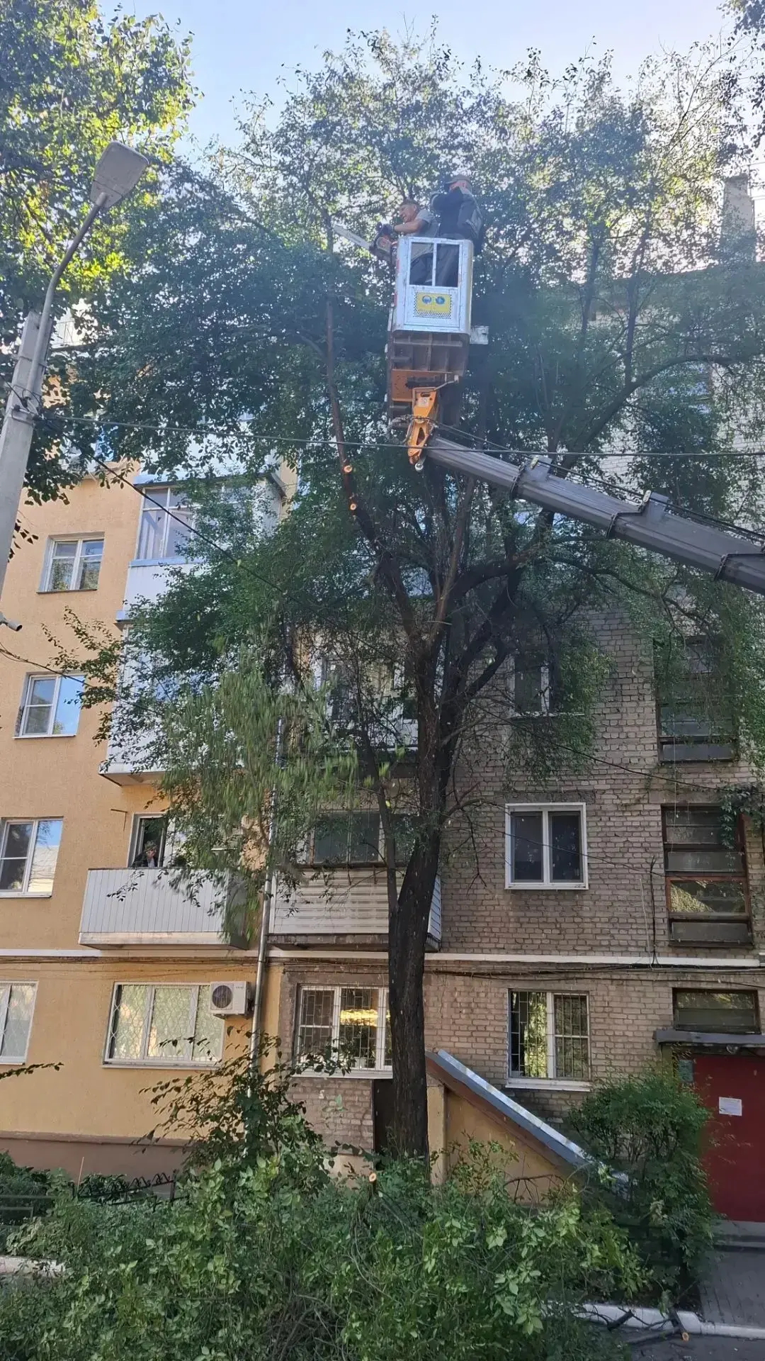 Добрый день! 👋 Делимся свежими результатами работ по благоустройствутерритории.