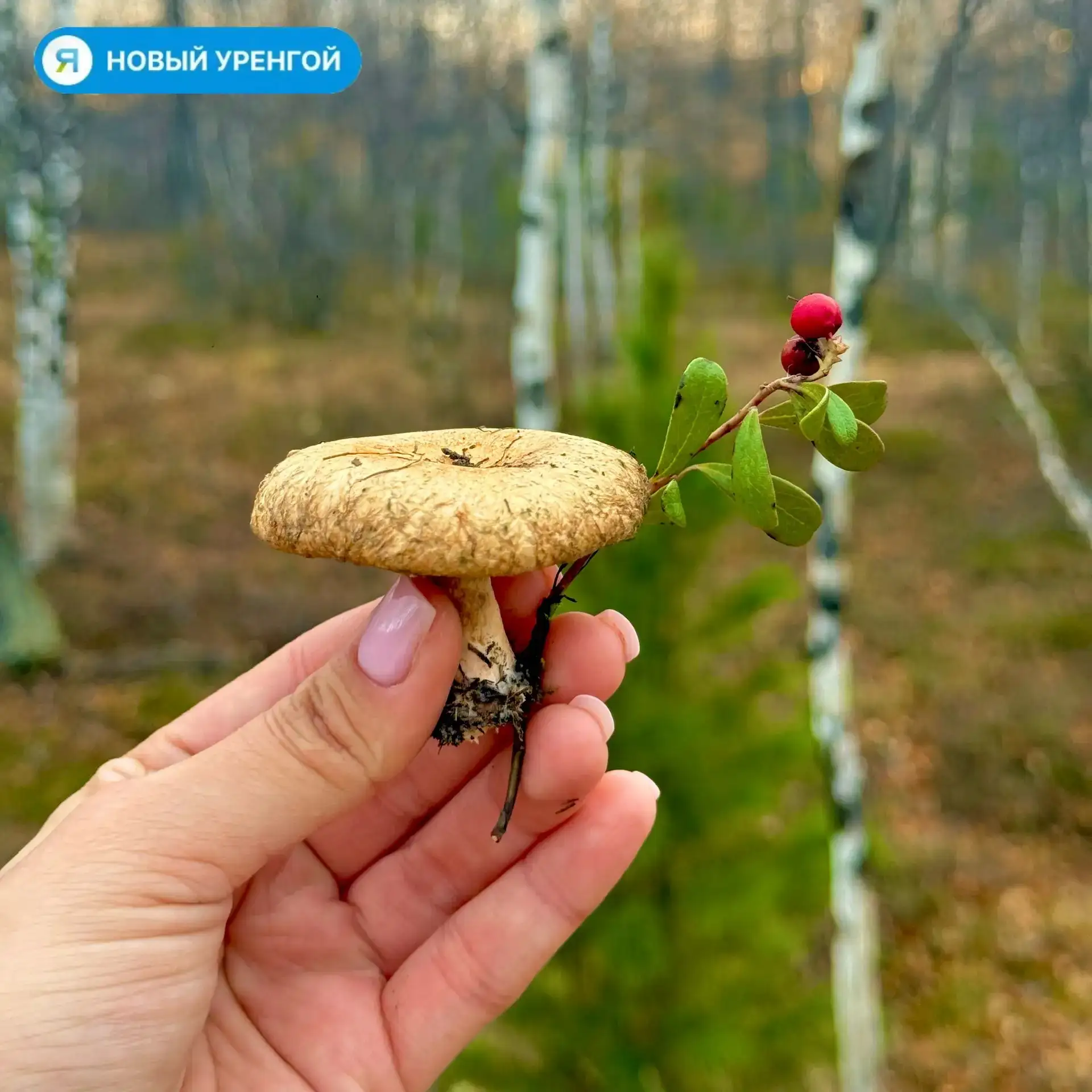Вот и снова понедельник… 💛