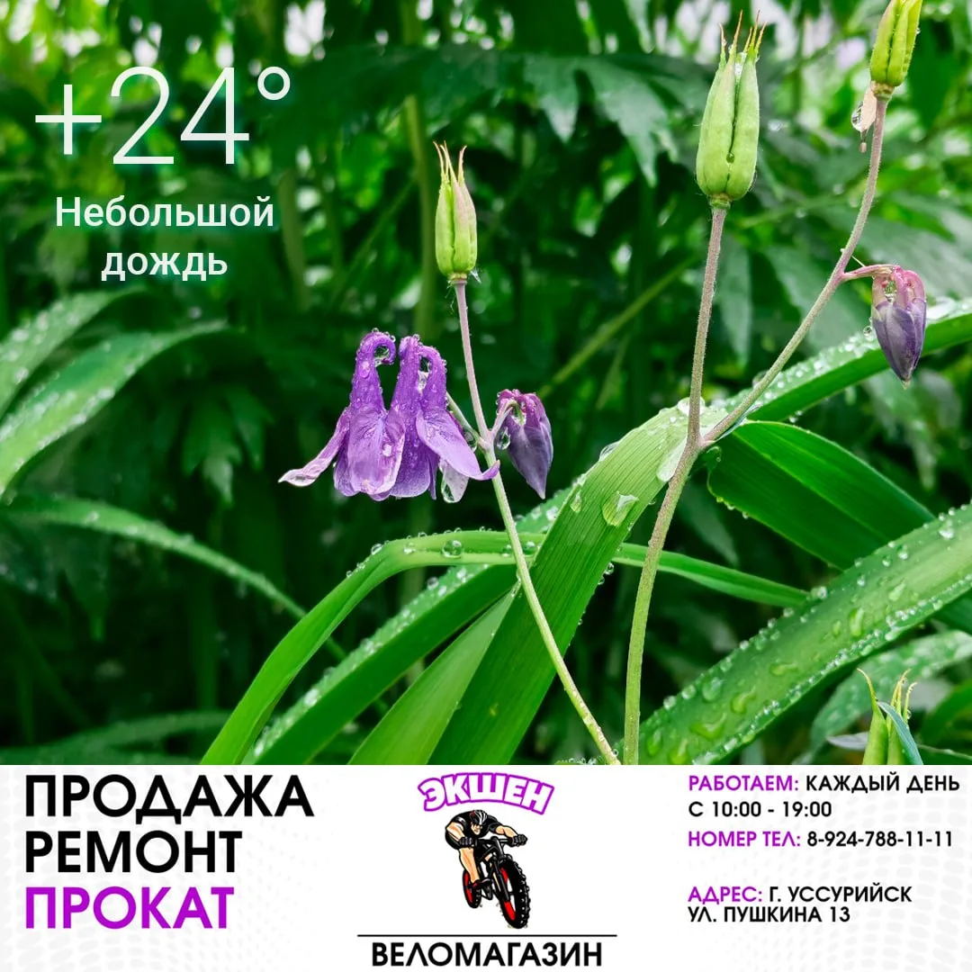 ⛅️ 13 июня