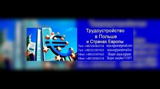 💼 Вакантная должность: