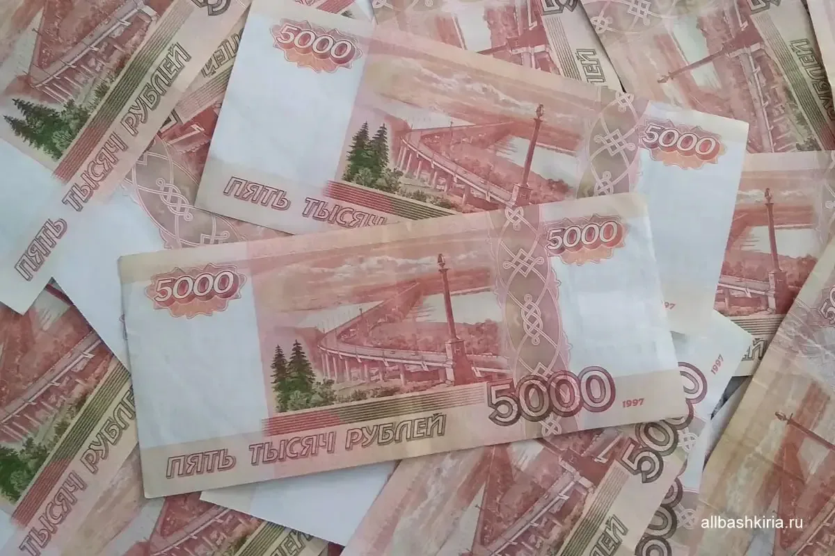 Организация в Башкирии погасила долг в 26 млн рублей за негативное воздействие на окруж...
