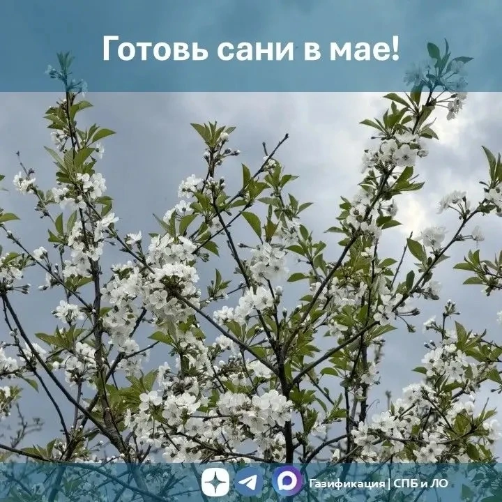 Готовь сани в мае!