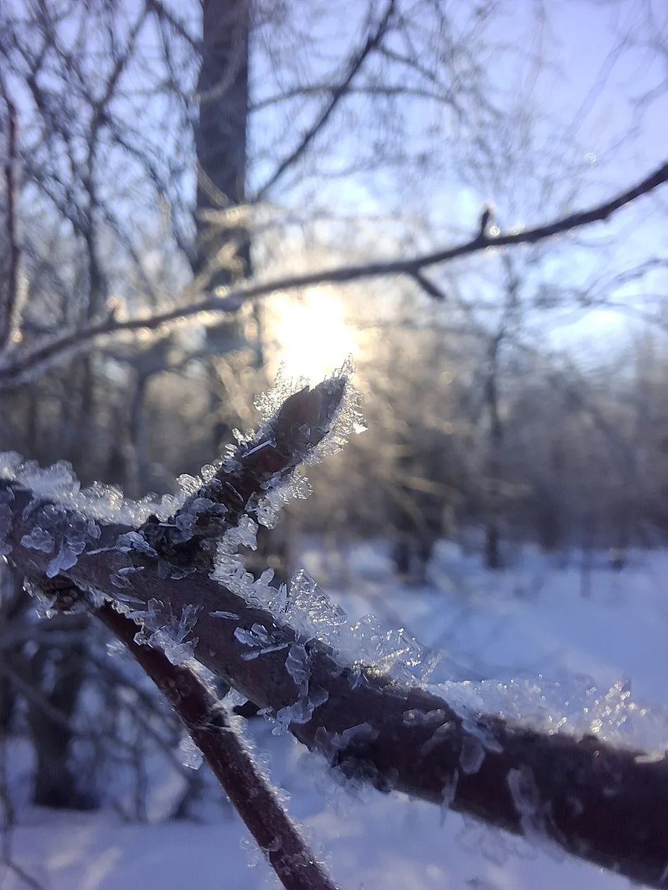 Какое сегодня прекрасное воскресное утро🥰