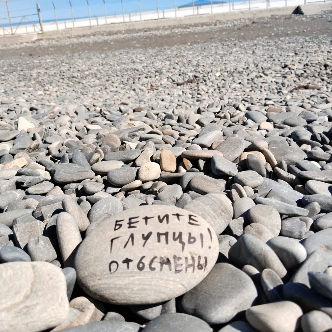 После снятия ограждения в бухте Сукко, послания от воспитанников Смены стали доступны д...