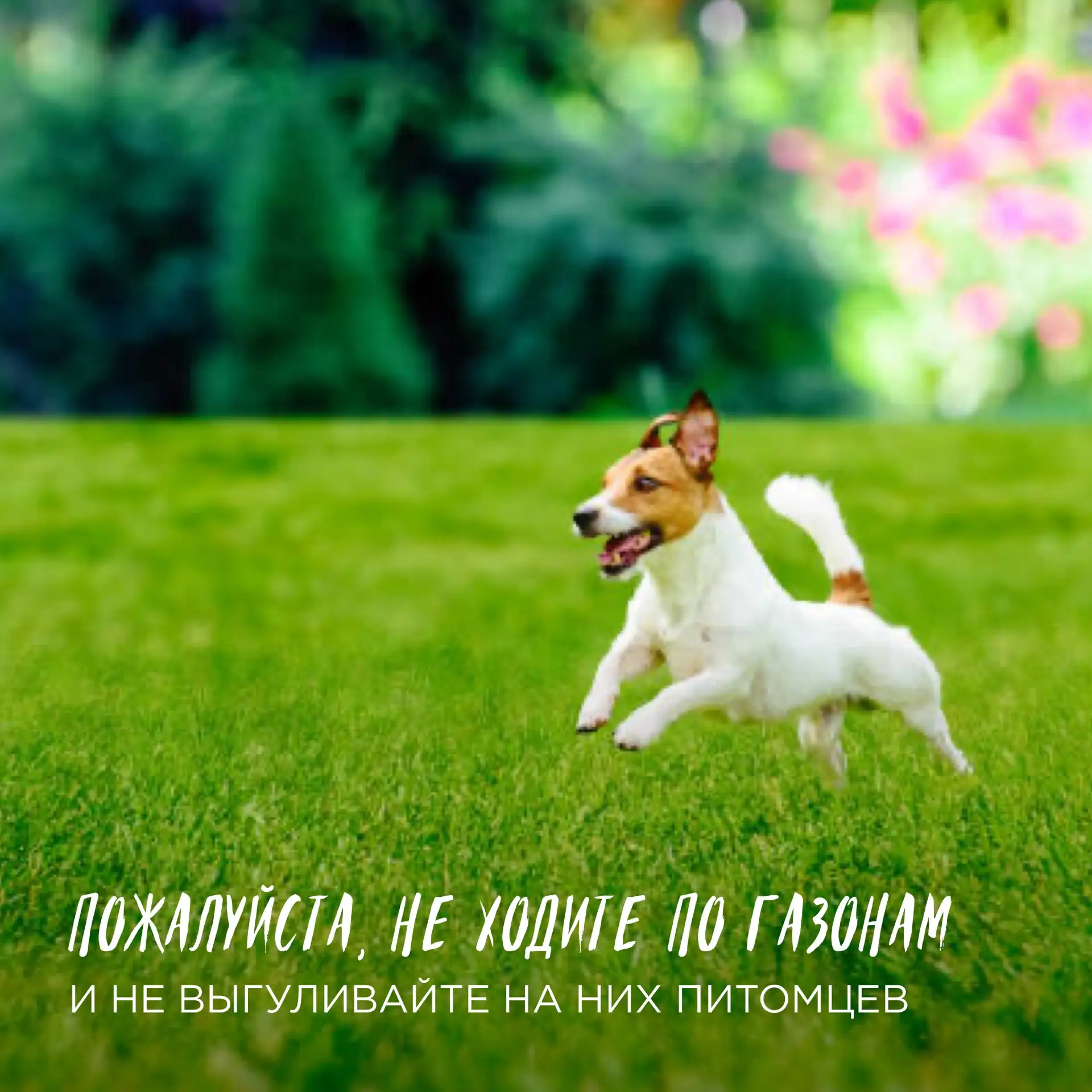 Уважаемые жители!