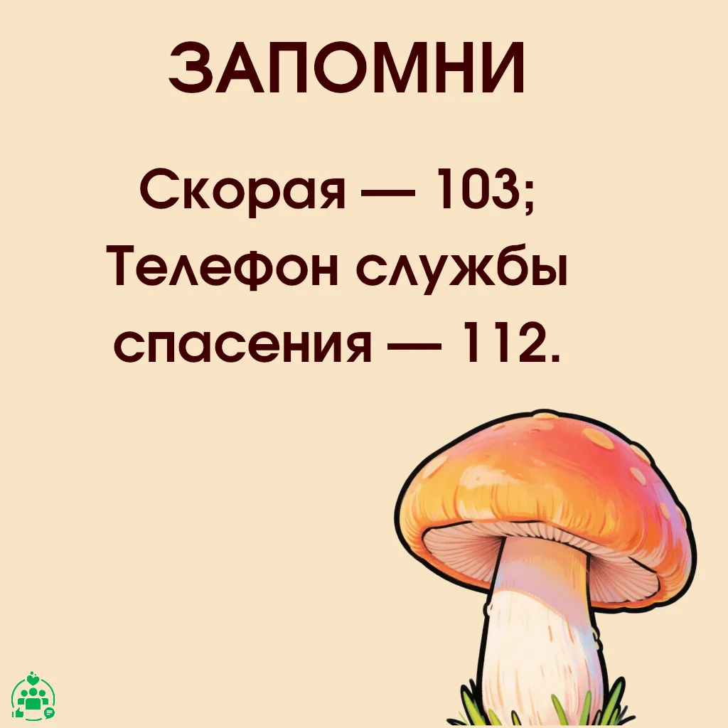 Осень — пора грибов, и многие любят ходить за ними в лес. Но важно помнить: даже красив...