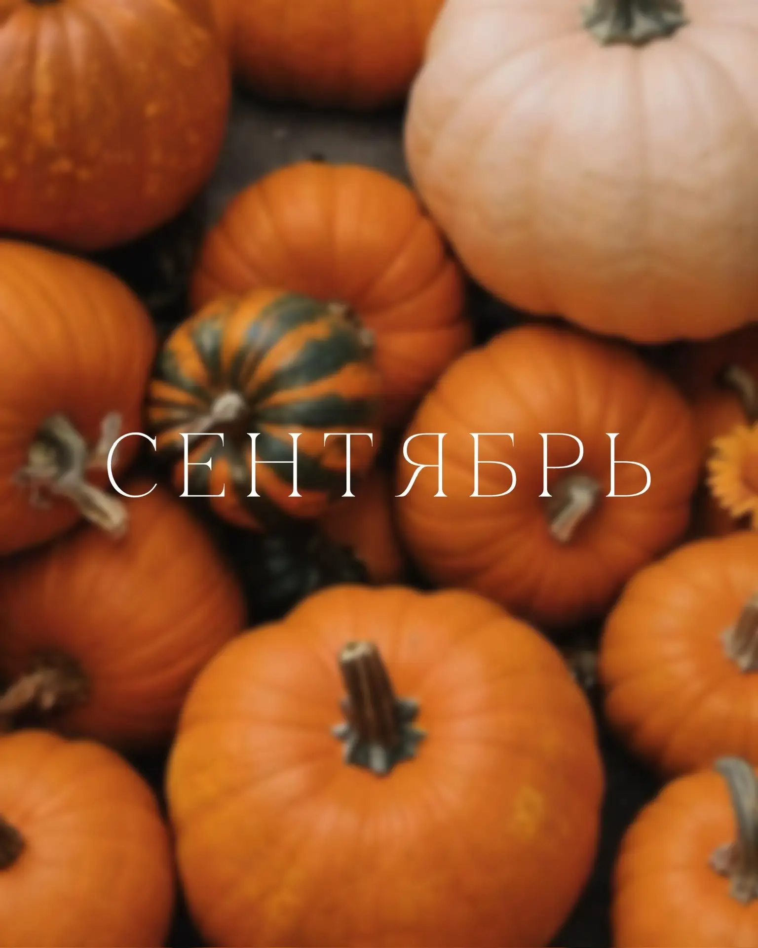 Сентябрь уже сладко пахнет и теперь чуть больше тёплых блюд, грибов, тыквы, яблок и сез...