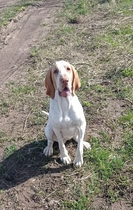 #МО