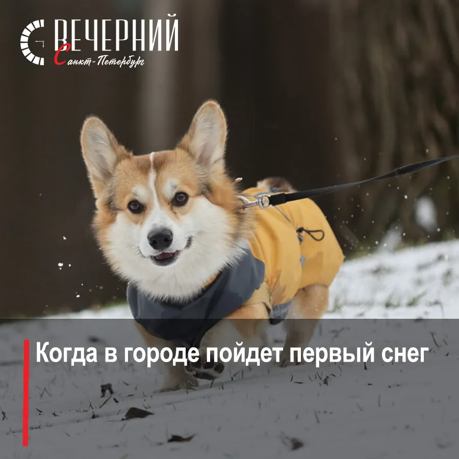 ❄️ Снег в октябре, сугробы в ноябре: специалисты УГМС поделились планами природы