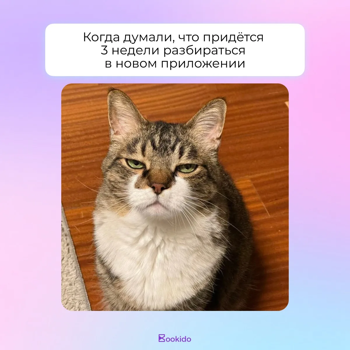 Мемы смешные, а ситуация жизненная 👀