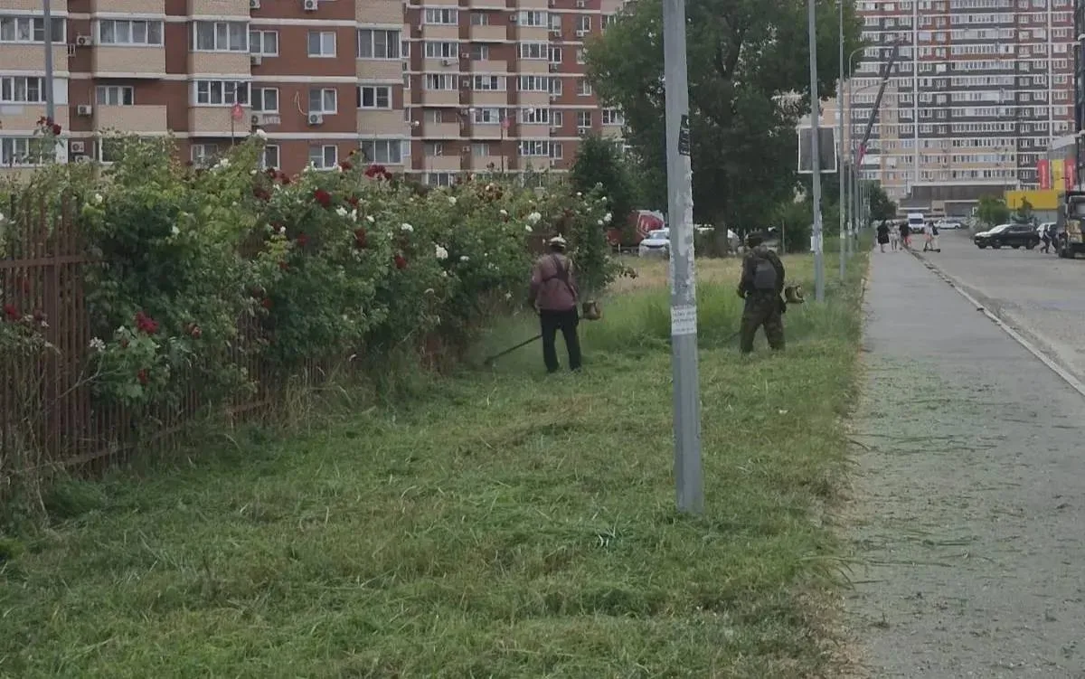 В Прикубанском округе скосили 1135 гектаров амброзии

С начала сезона покоса в Прикубанском округе у
