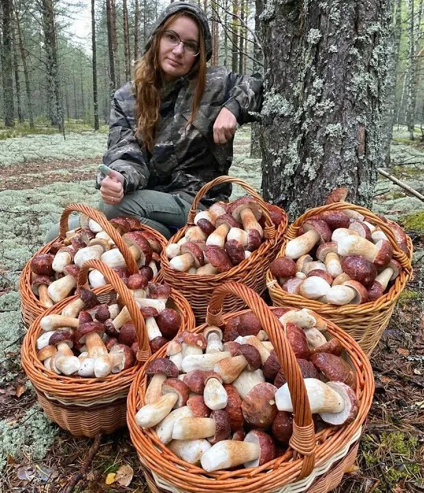 А у нас сегодня выдался такой необычный урожай 🍄‍🟫