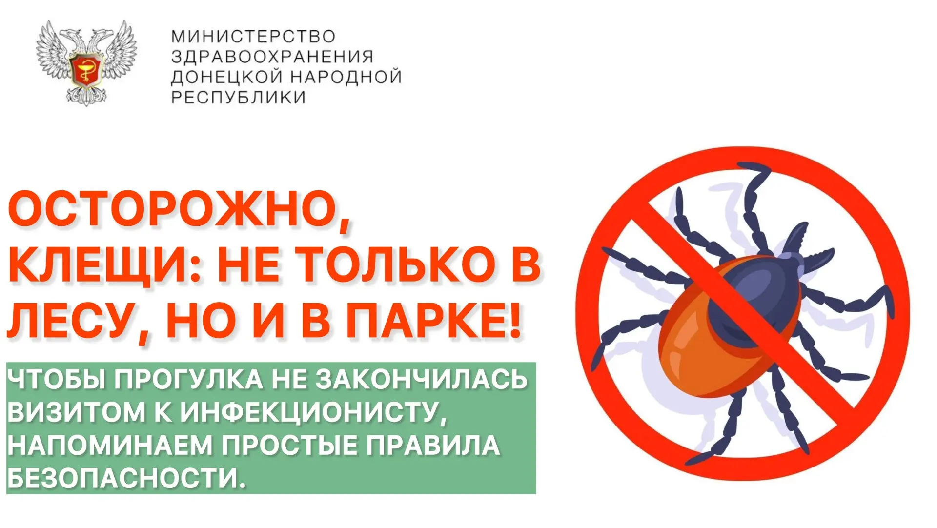 🕷 Осторожно, клещи: не только в лесу, но и в парке!