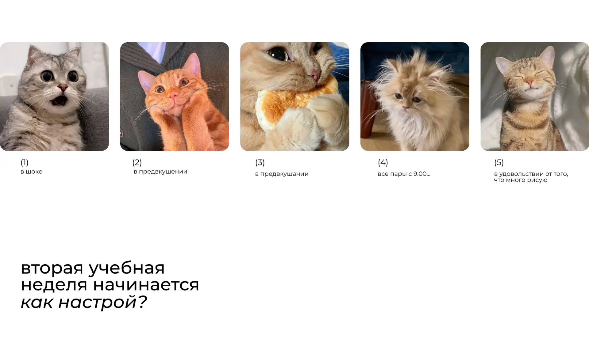 вторая неделя учёбы началась!