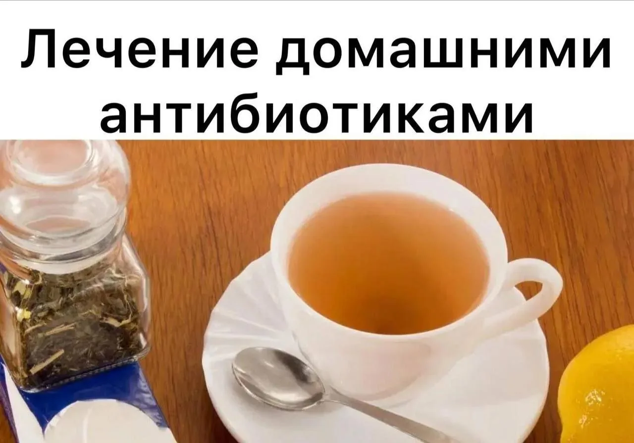 Лечение домашними антибиотиками! ✅

5–7 головок чеснока
мёд жидкий
3 ст. л. порошка корня алтея апте