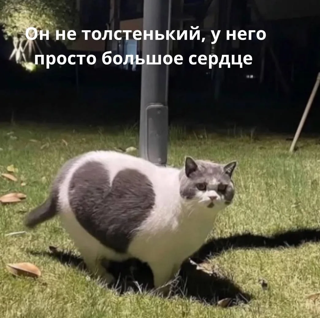 Доброе утро!