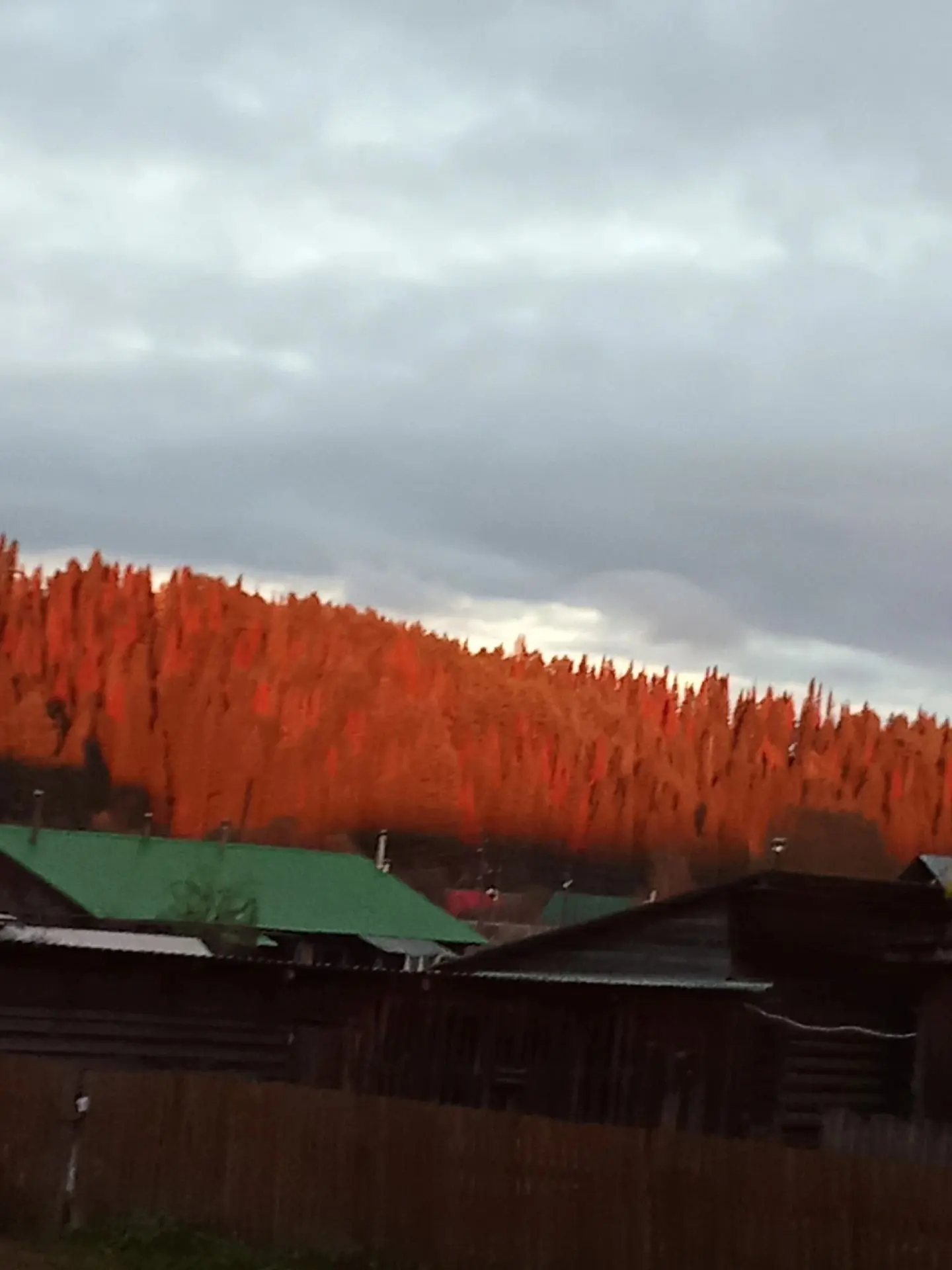 Карагай осень...
