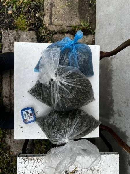 🌿 Банда наркоторговцев получила до 11 лет строгого режима за выращивание 3,6 кг каннабиса

С января