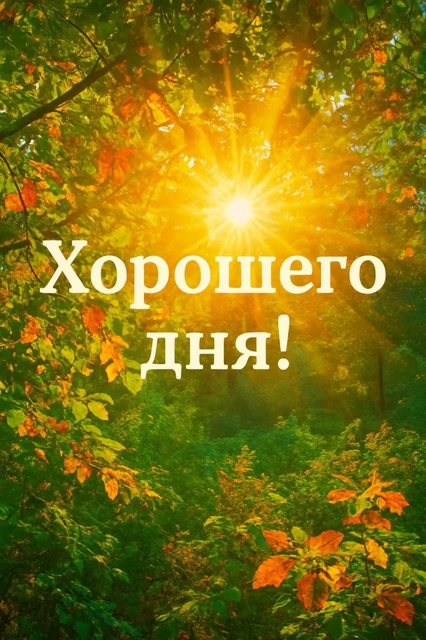 #хорошегодня