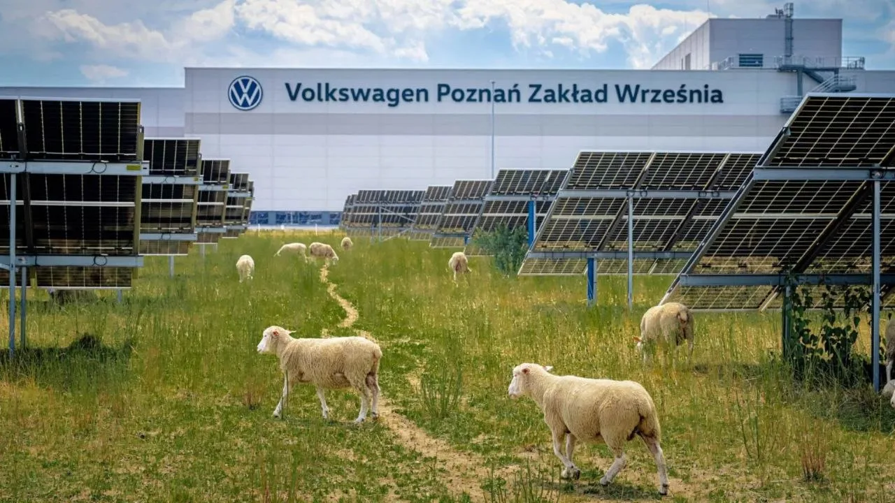 👀 Volkswagen нанял необычных сотрудников на завод в Польше